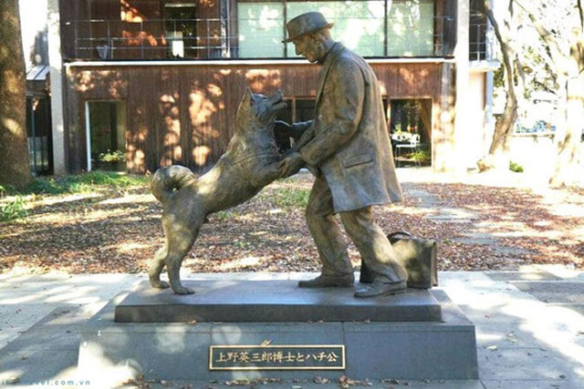 Nửa đêm bố giấu con trai đem vứt chó cưng, cảnh tượng hôm sau khiến ông bố ân hận bật khóc