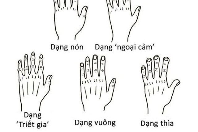 Nhìn dáng bàn tay đoán năng khiếu, tính cách: Bạn là người hướng nội hay hướng ngoại?