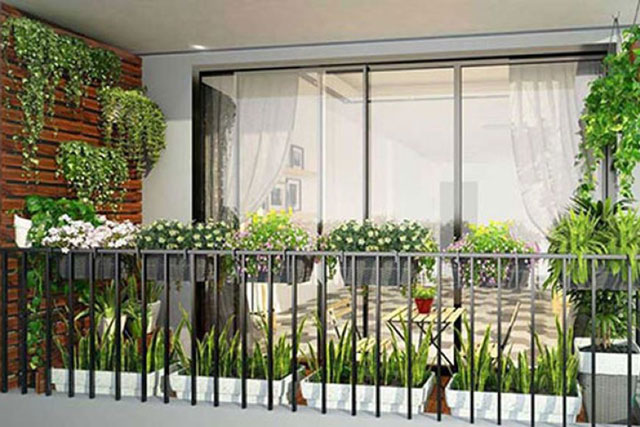 Nên trồng loại cây nào trên ban công để hợp phong thủy?