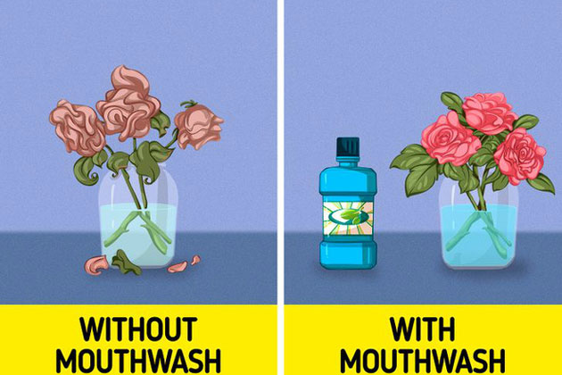 7 mẹo vặt hiệu quả từ những thứ ngay trong bếp mà nhiều chị em chưa biết, sốc nhất là mẹo với bột nghệ và nước súc miệng!