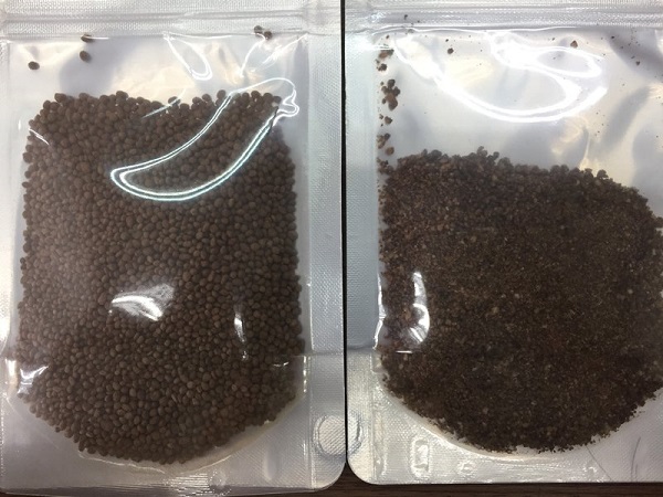 Muối Cần Giờ tăng giá trị nhờ sản xuất muối thảo dược ngâm chân 