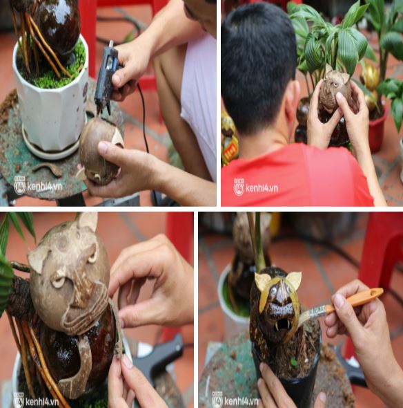 Một số công đoạn làm ra sản phẩm bonsai dừa hình con hổ để chơi Tết Nhâm Dần 2022