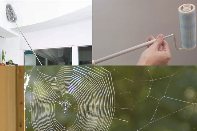 5 cách quét mạng nhện nhanh và sạch, ngăn ngừa mạng nhện quay trở lại