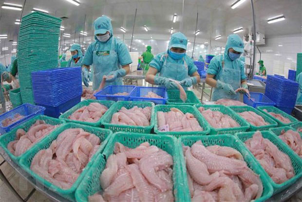 Dư địa lớn cho xuất khẩu thủy sản Việt Nam trong năm 2022