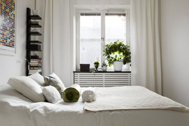 Trang trí cây xanh trong phòng ngủ nên hay không nên?