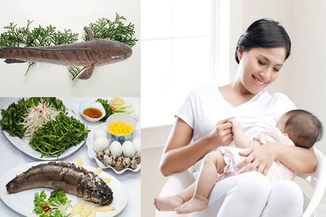 Sau sinh cứ ăn loại cá vừa ngon vừa bổ này để phục hồi sức khỏe, lợi sữa cho con