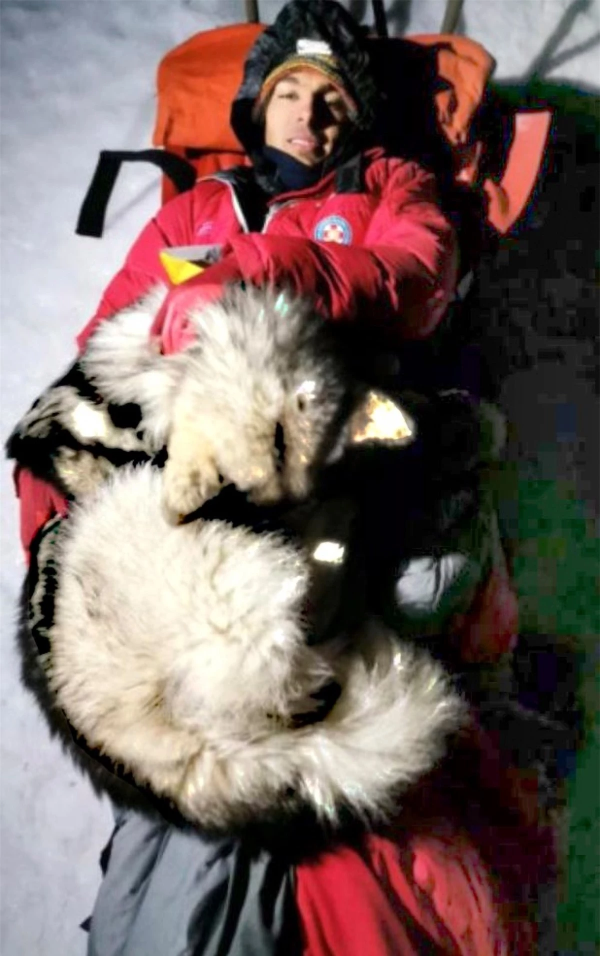 Chú chó Alaskan Malamute tên là North đã đồng hành cùng người chủ của mình suốt 13 tiếng giữa đêm tuyết lạnh giá. Ảnh: HGSS/Newsflash