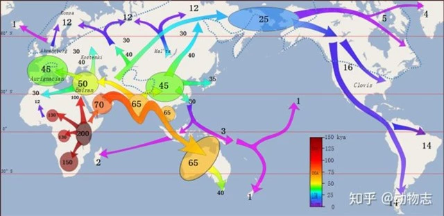 Người Neanderthal có bộ não lớn hơn người Homo sapiens, vậy làm thế nào mà người Homo sapiens đã đánh bại họ? - Ảnh 4.