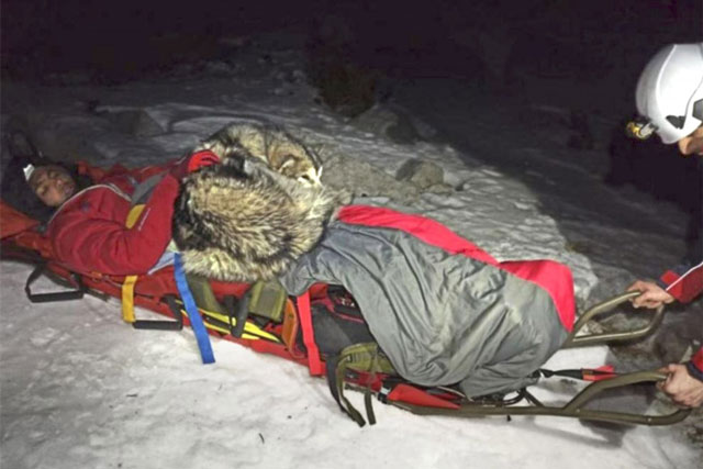 Chú chó trung thành ở bên và sưởi ấm cho chủ suốt 13 tiếng sau khi gặp nạn trên núi tuyết