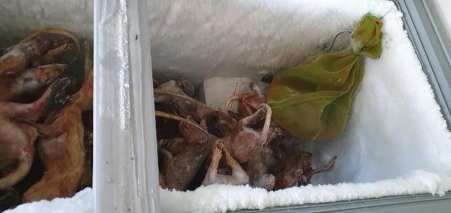 Phát hiện số lượng lớn động vật hoang dã tàng trữ tại Tây Ninh