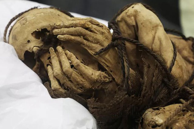 Tìm thấy xác ướp bị trói tay trong mộ cổ hơn 1.000 năm tuổi ở Peru