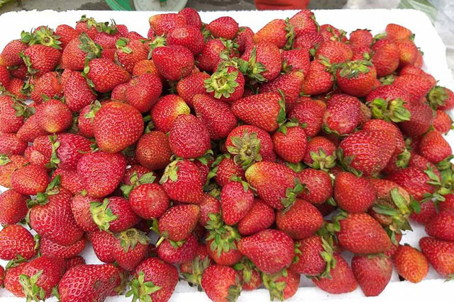 6 loại quả quen thuộc ở chợ hay bị phun thuốc cho đẹp mã, nhanh chín, bà nội trợ cẩn trọng khi mua