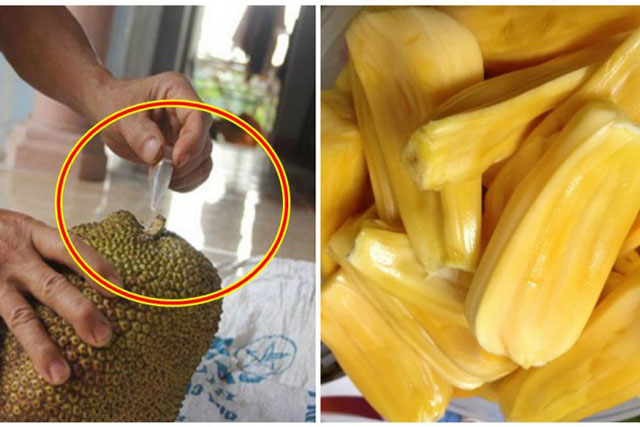 Mẹo nhận biết mít chín cây và mít "ngậm hoá chất"