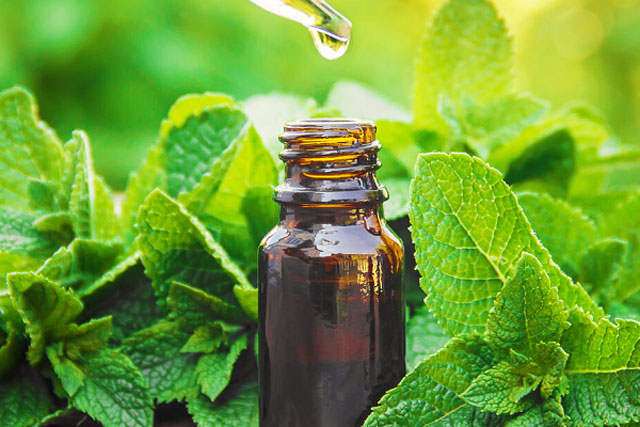 4 cách đuổi nhện ra khỏi nhà hoàn toàn tự nhiên, không độc hại, không phải ai cũng biết