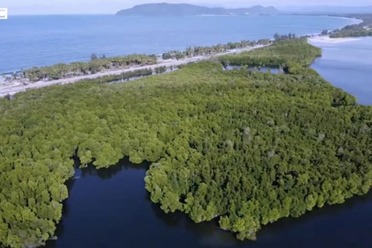 Khu rừng bí ẩn dành riêng cho phụ nữ, đàn ông cấm đi vào