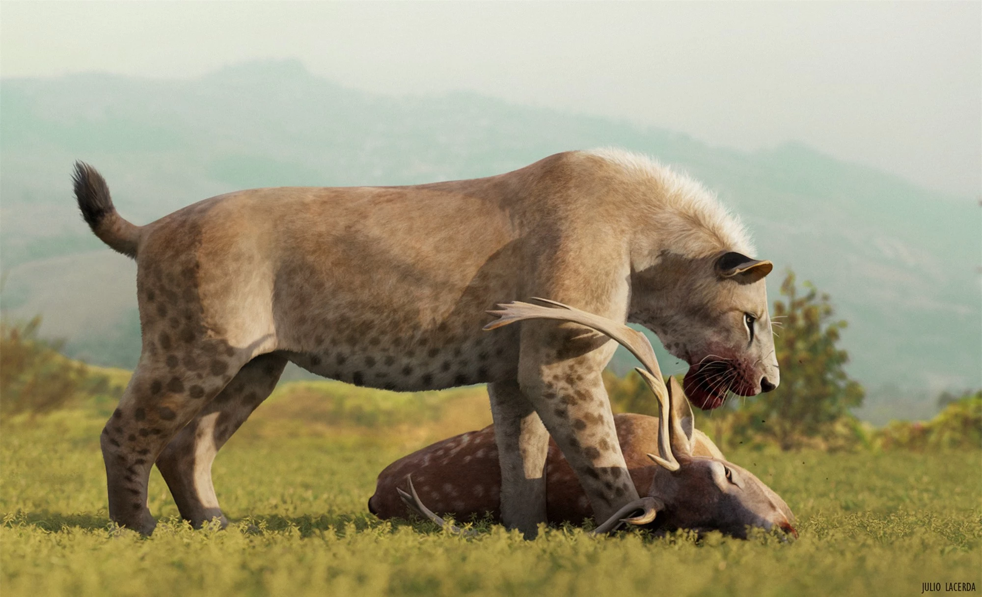 Không phải hổ, cũng chẳng phải sư tử, báo đốm mới là kẻ đã đánh đuổi hổ răng kiếm trong suốt 2 triệu năm! - Ảnh 3.