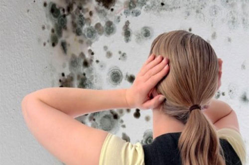 Bí quyết chống nấm mốc tại nhà hiệu quả