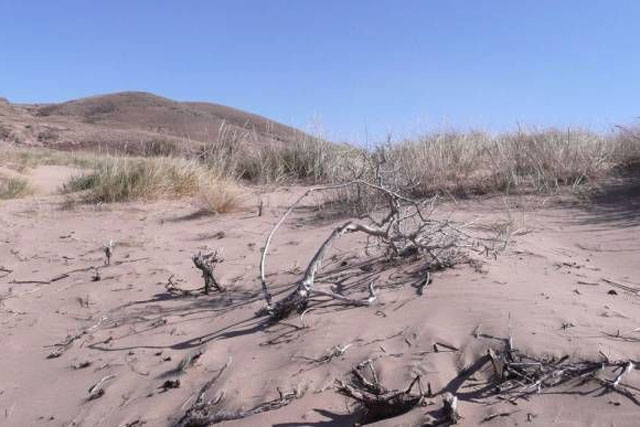 Mưa axit, được mệnh danh là thần chết trên bầu trời có tác hại như thế nào?