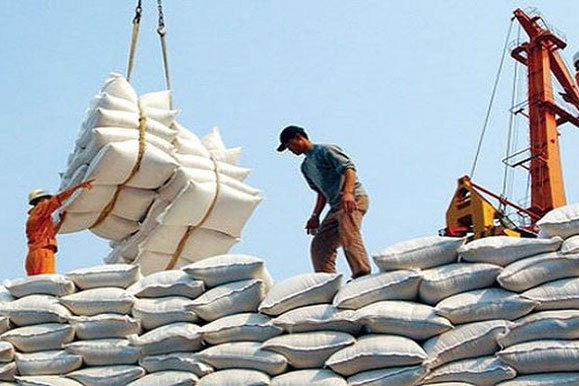 Chứng nhận chủng loại gạo thơm xuất khẩu trong 5 ngày làm việc kể từ ngày tiếp nhận hồ sơ hợp lệ.