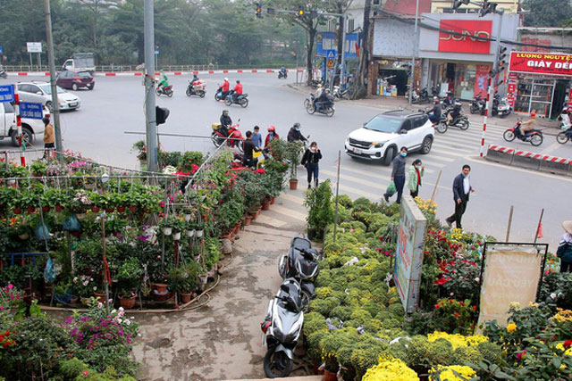 Sôi động thị trường hoa Tết