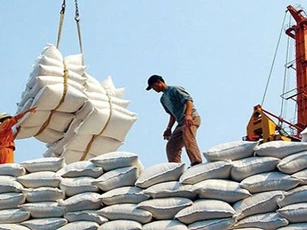 Sửa quy định về chứng nhận chủng loại gạo thơm xuất khẩu sang Liên minh châu Âu