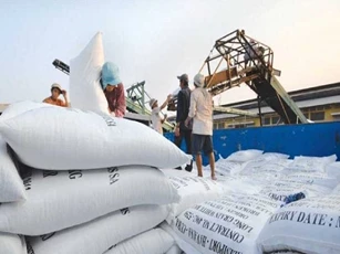 Giá gạo xuất khẩu Việt Nam giảm 5 USD/tấn