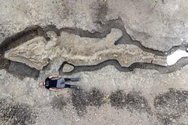 Phát hiện một trong những hóa thạch vĩ đại nhất lịch sử Anh Quốc