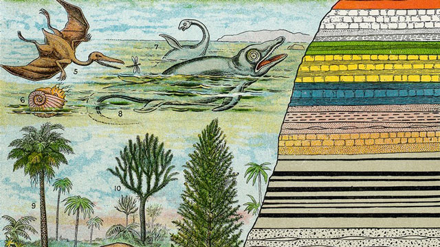 Bí ẩn về 11 cuộc đại tuyệt chủng trên Trái Đất, tiên đoán về sự kiện thứ 12