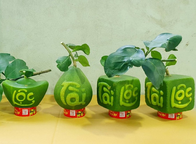 Những "Làng mùa xuân" ở miền Tây 
