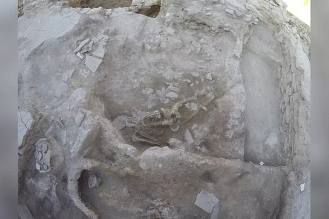 Khai quật bộ xương cổ đại, hé lộ cái chết thảm khốc từ trận sóng thần khủng khiếp