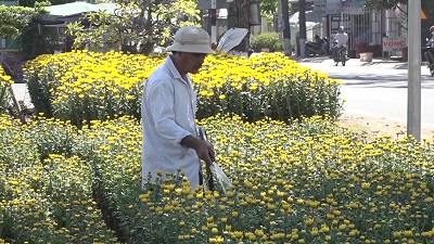 Làng nghề Miền Tây sẵn sàng phục vụ Tết