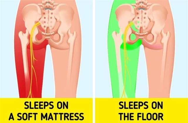 Ngủ dưới sàn nhà có thể tăng khả năng miễn dịch - Ảnh 4.