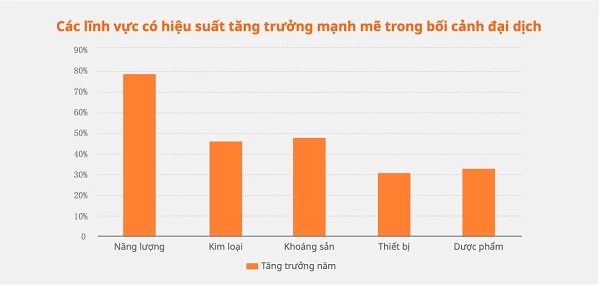 Các lĩnh vực tăng trưởng mạnh mẽ trong đại dịch COVID-19.