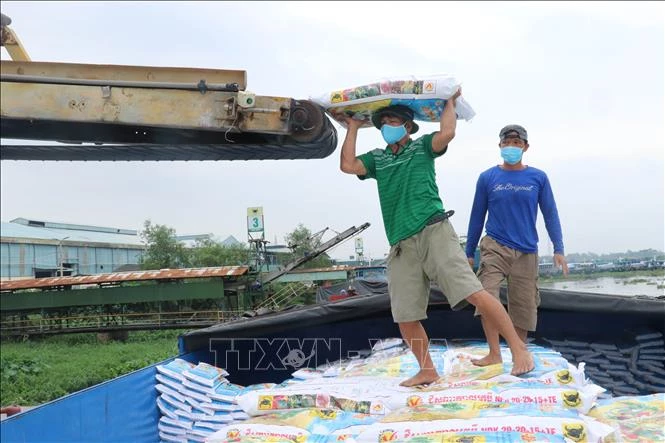 Phần lớn các loại phân bón trên thị trường đều tăng giá rất cao, có loại tăng gấp đôi. Ảnh: Bùi Giang/TTXVN