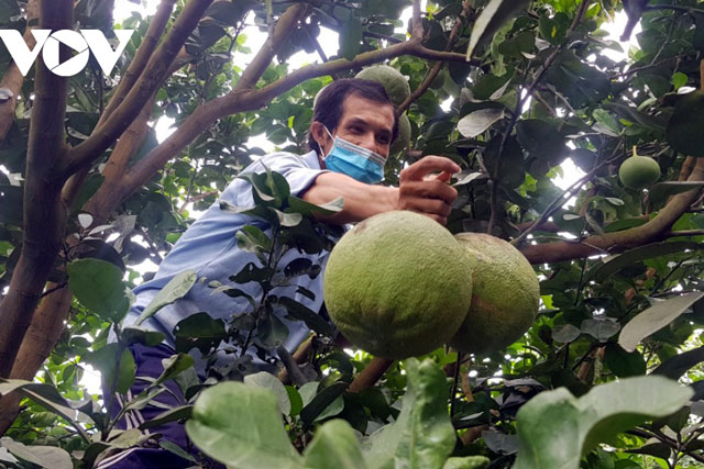 Thị trường Á-Âu giàu tiềm năng cho doanh nghiệp xuất khẩu