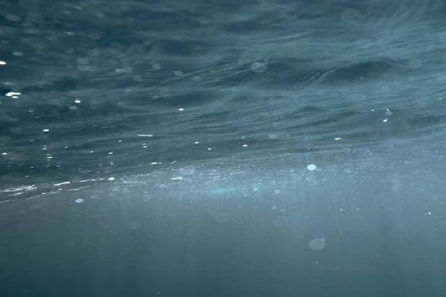 Phát hiện loạt sinh vật sống khỏe mà không cần oxy, ánh sáng