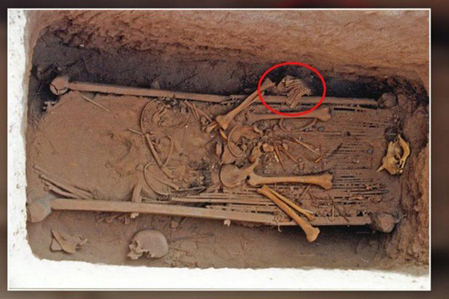 Bộ áo giáp bằng vảy da quý hiếm được phát hiện ở khu lăng mộ Trung Quốc