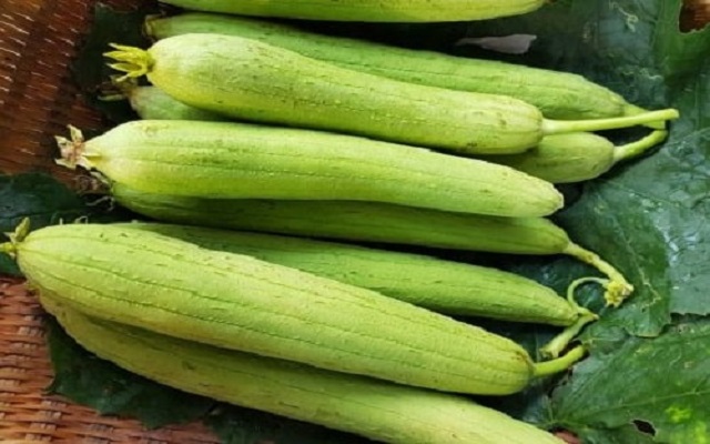 Bí quyết bảo quản mướp không bị thâm đen