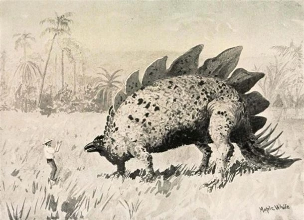 Bí ẩn 'Đảo trên mây': Thực hư nơi khủng long vẫn tung tăng đi lại ảnh 2