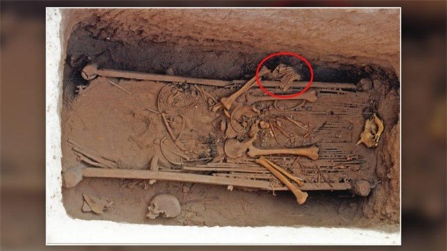 Bộ áo giáp bằng vảy da quý hiếm được phát hiện ở khu lăng mộ Trung Quốc ảnh 1