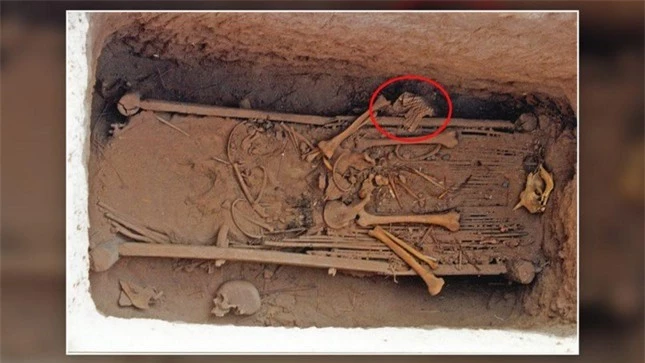 Bộ áo giáp bằng vảy da quý hiếm được phát hiện ở khu lăng mộ Trung Quốc ảnh 1