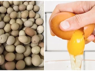3 cách bảo quản trứng không cần dùng tủ lạnh, để 3 - 4 tháng vẫn tươi nguyên
