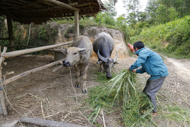 Tối thiểu 75.000 tỷ đồng cho mục tiêu giảm nghèo đến năm 2025