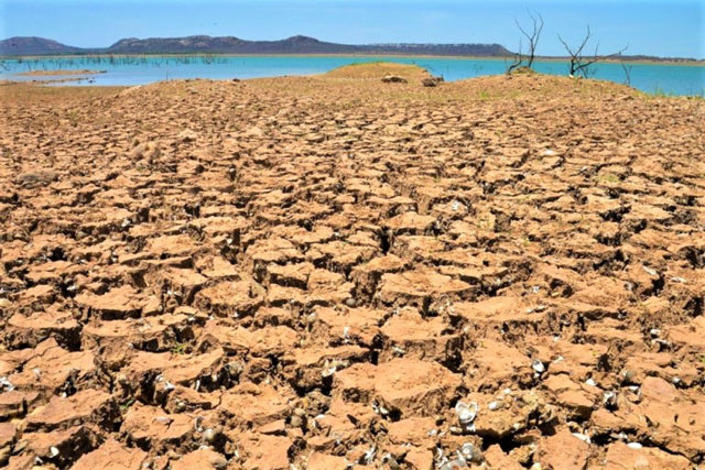 Thảm họa khí hậu năm 2021 báo động về an ninh lương thực