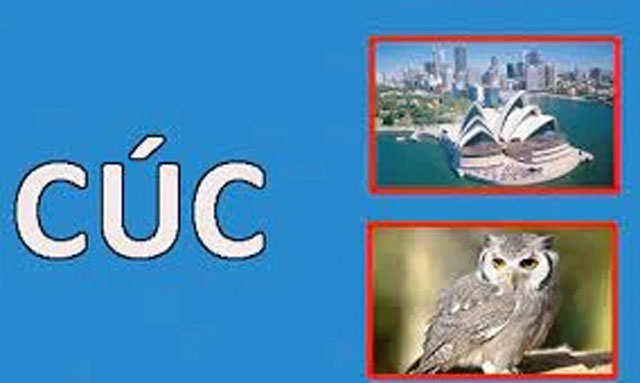 Từ gì bỏ đầu thành tên quốc gia, mất đuôi ra một loài chim? Trả lời được chứng tỏ trình tiếng Việt không phải dạng vừa