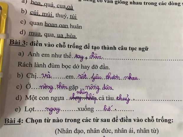 Bài tập điền thành ngữ của học sinh tiểu học vượt xa trí tưởng tượng thông thường: Đọc đến câu thứ 3 mà cười muốn nội thương - Ảnh 2.