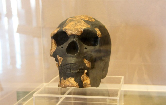 Hóa thạch người tinh khôn cổ nhất thế giới: Lịch sử đảo lộn - Ảnh 1.