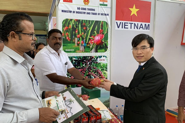 Xuất khẩu thanh long sang Ấn Độ: Không nên 'ăn xổi ở thì'