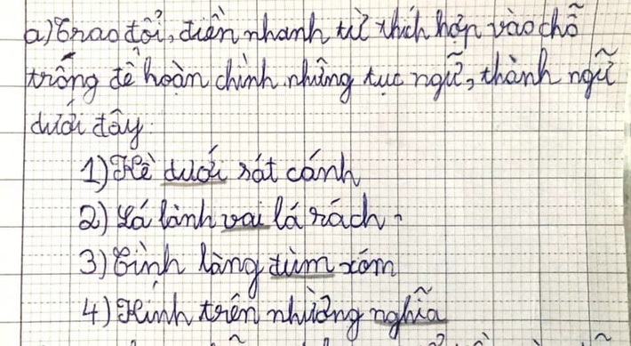 Bài tập điền thành ngữ của học sinh tiểu học vượt xa trí tưởng tượng thông thường: Đọc đến câu thứ 3 mà cười muốn nội thương