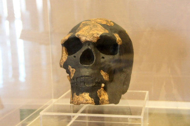 Hóa thạch người tinh khôn cổ nhất thế giới: Lịch sử đảo lộn